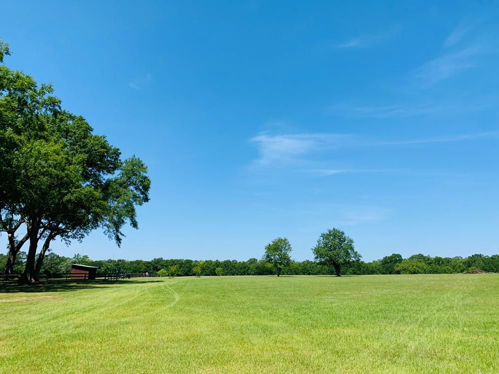 Grand Bay, Mobile County, AL Farms and Ranches, Horse Property for sale
