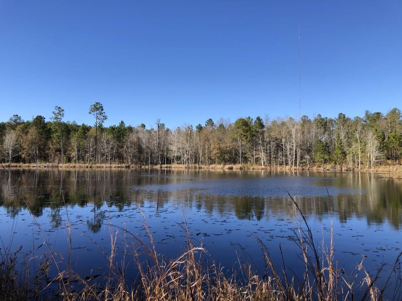 Kite, Johnson County, GA Timberland Property for sale Property ID