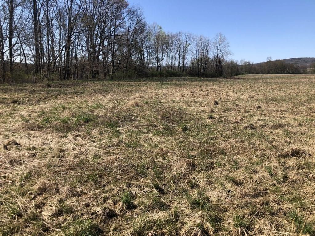Angelica, Allegany County, NY Recreational Property, Hunting Property