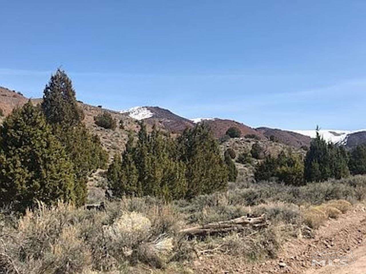 Reno, Washoe County, NV Undeveloped Land for sale Property ID 338059412 LandWatch