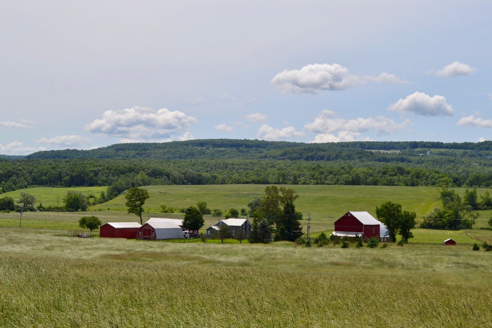 Canajoharie, Montgomery County, NY Farms and Ranches, House for sale