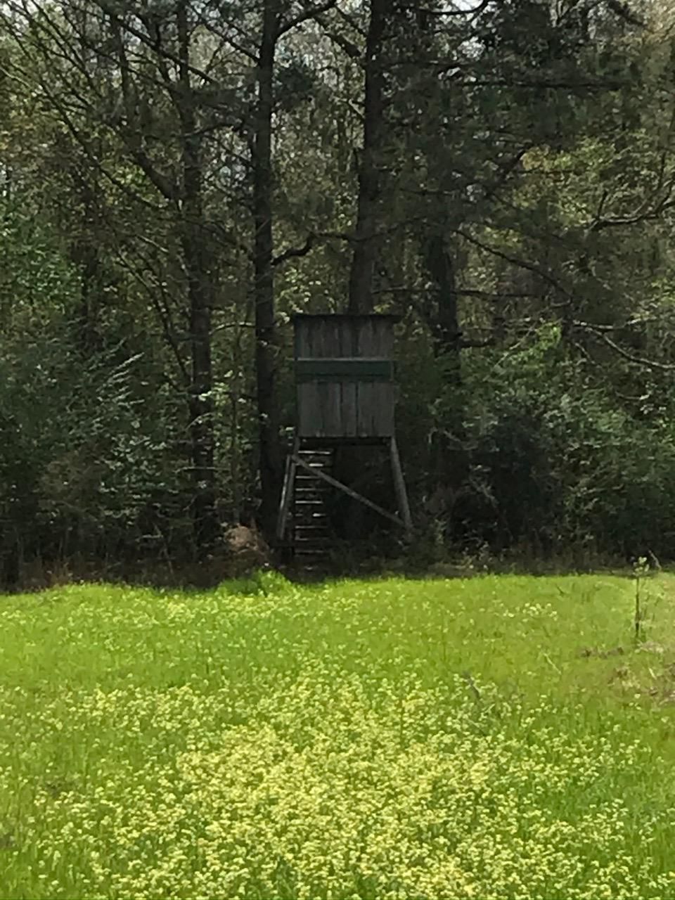 Mckenzie, Butler County, AL Farms and Ranches for sale Property ID