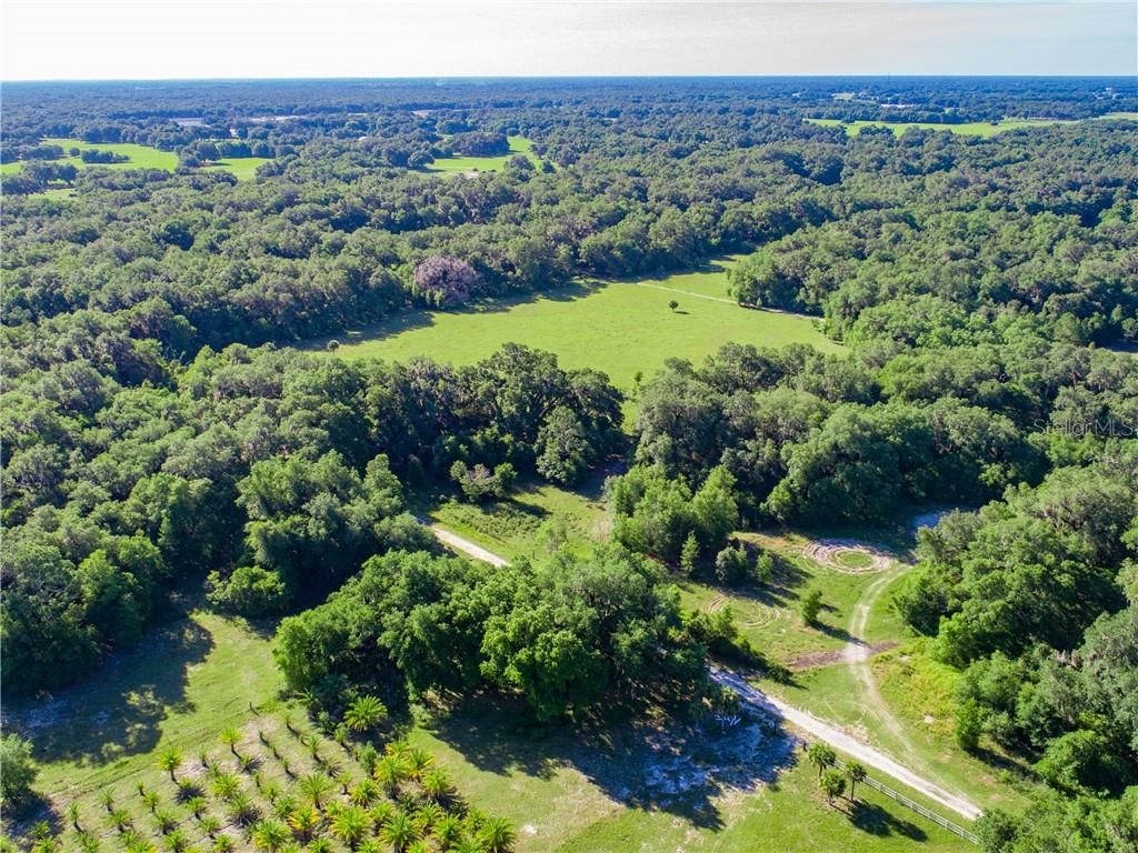 Bushnell, Sumter County, FL Undeveloped Land for sale Property ID 334785335 LandWatch