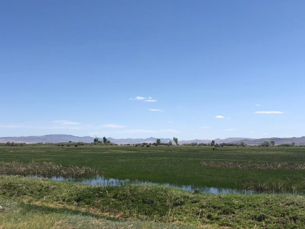 9170 Pasture Rd, Fallon, NV 89406 MLS 200006144 LandWatch