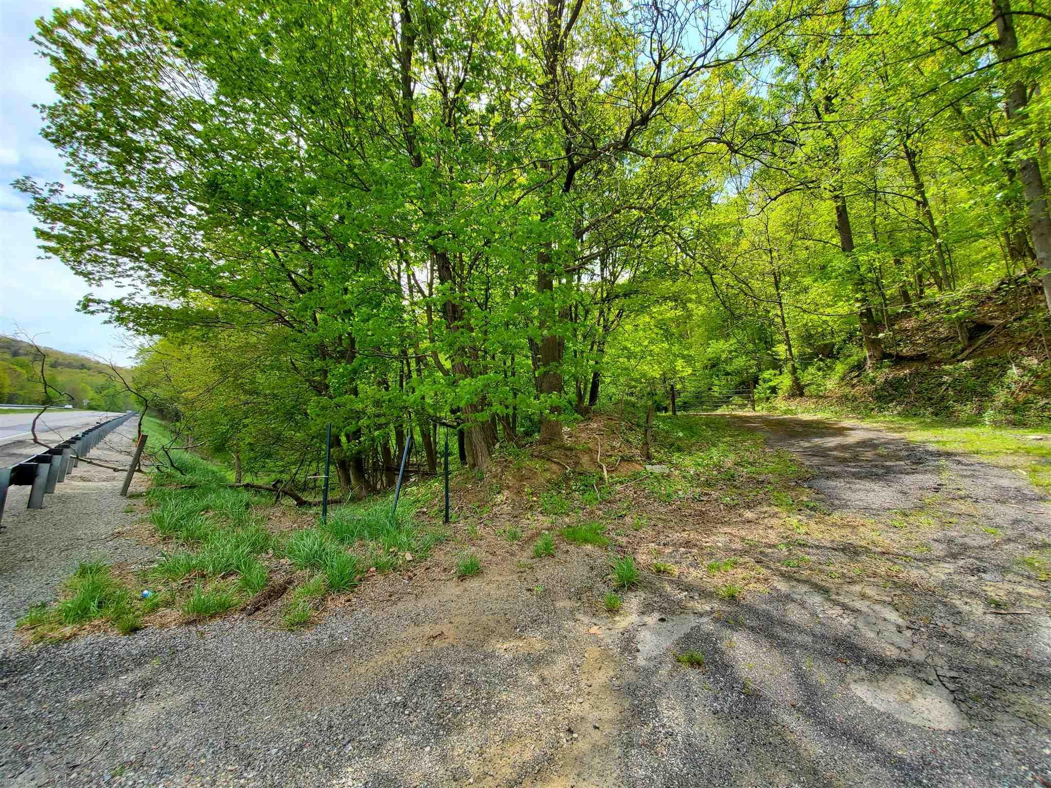 Newport, Giles County, VA Undeveloped Land for sale Property ID