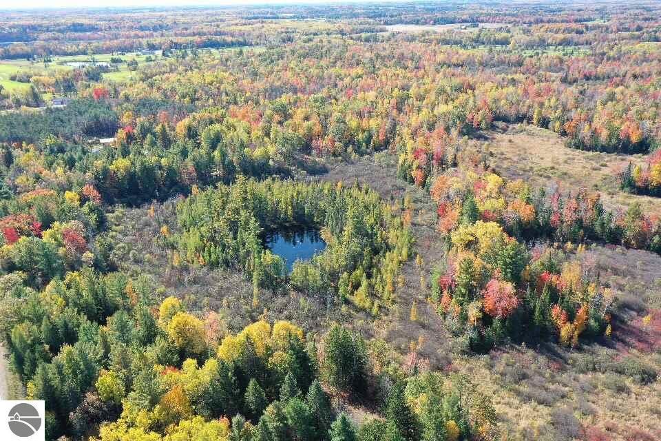 Lupton, Ogemaw County, MI Undeveloped Land for sale Property ID