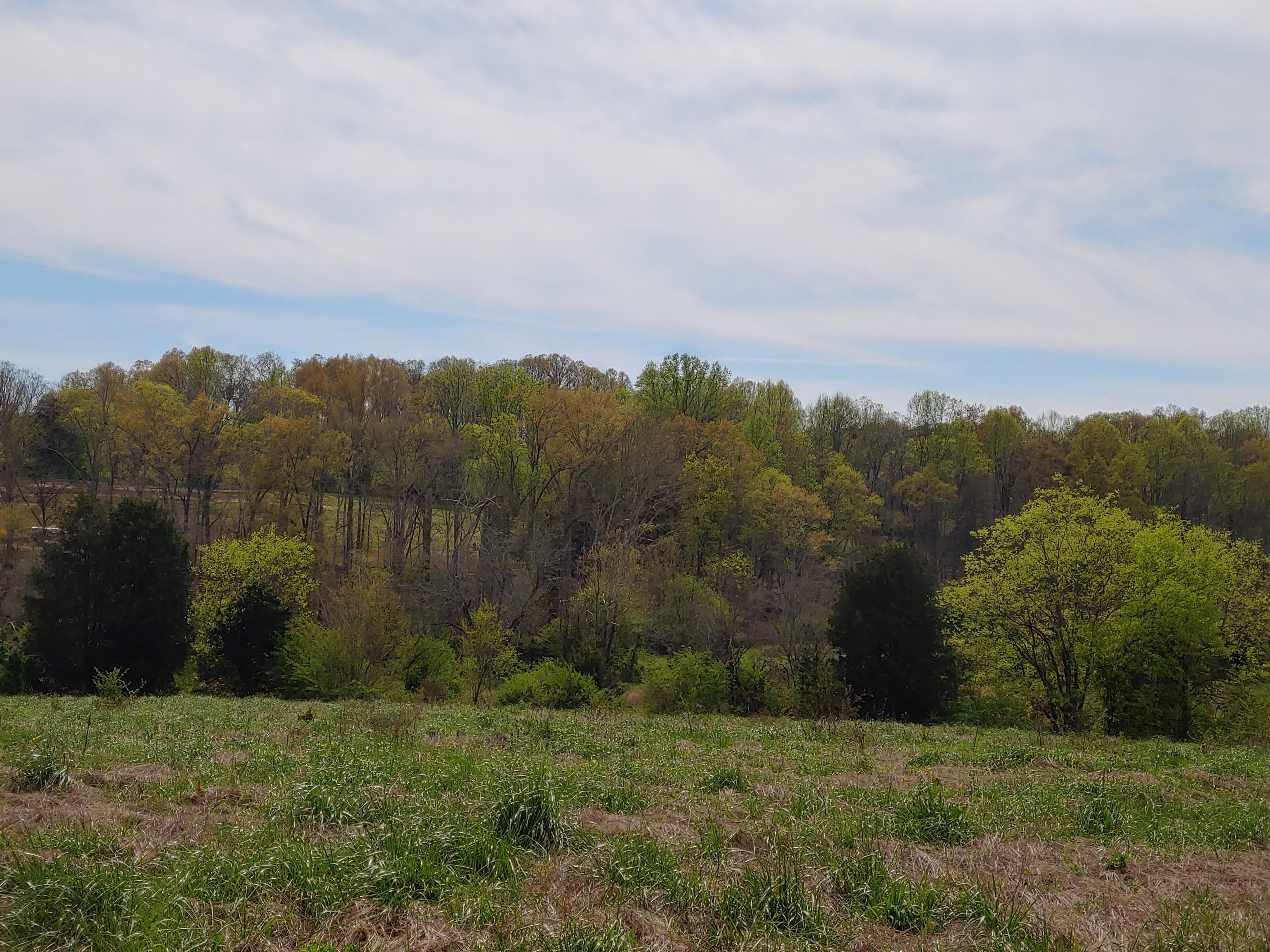 Maryville, Blount County, TN Farms and Ranches, Horse Property for sale