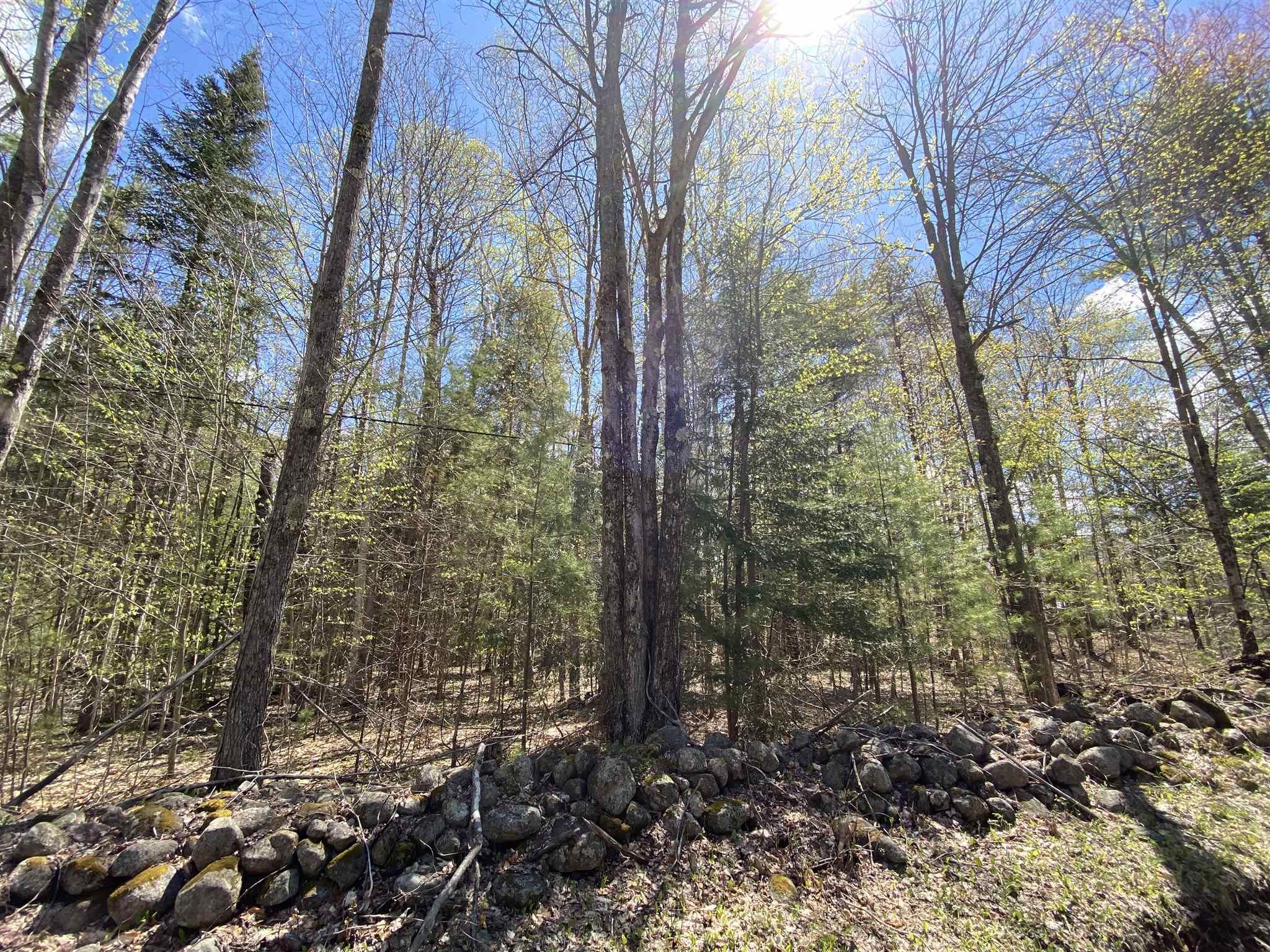 Thurman, Warren County, NY Undeveloped Land for sale Property ID