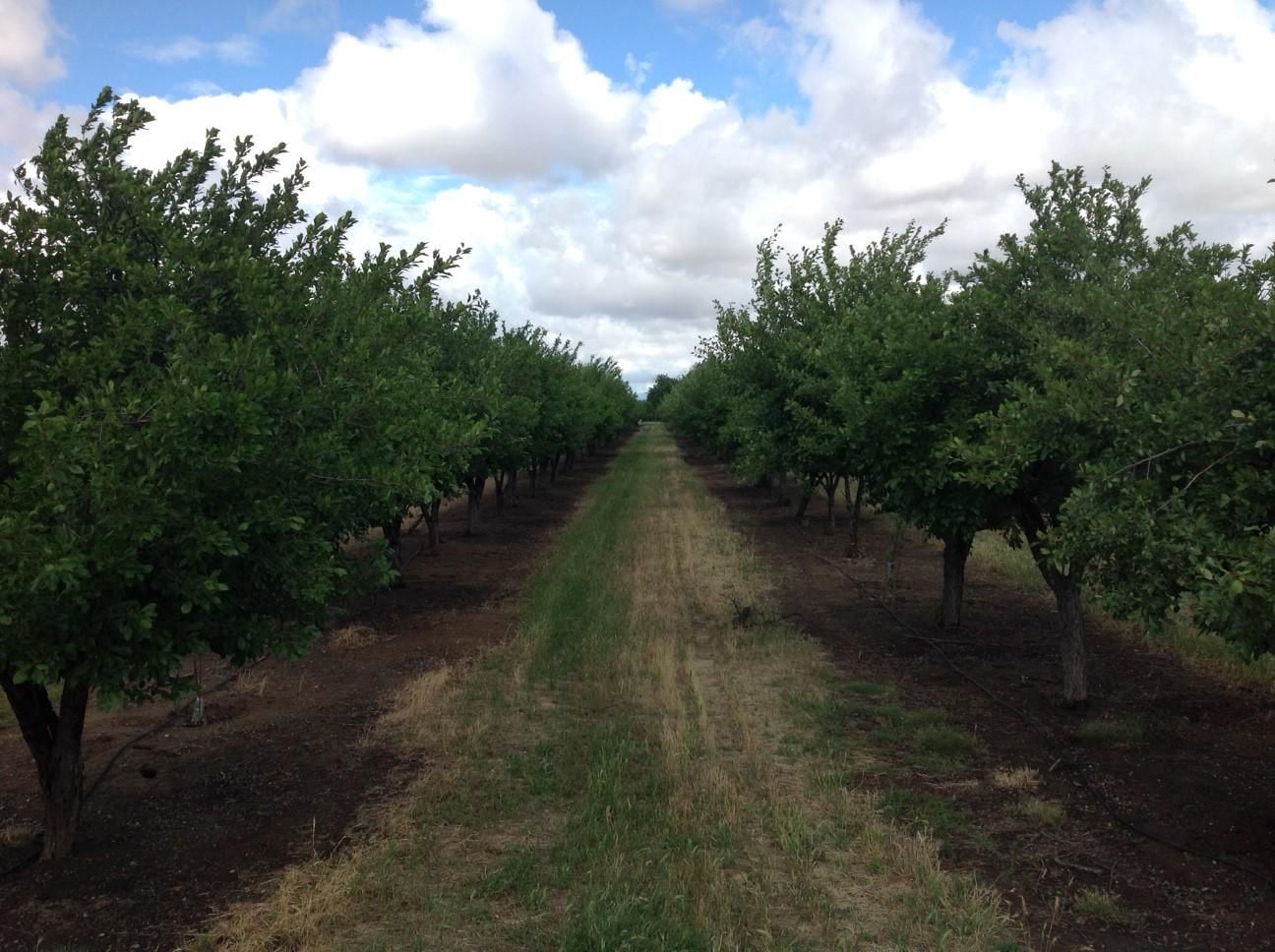 Red Bluff, Tehama County, CA Farms and Ranches, Commercial Property
