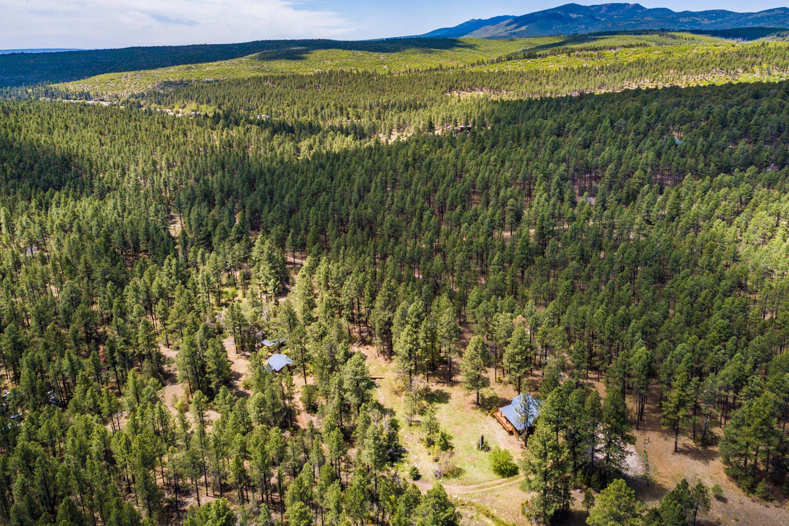 Tajique, Torrance County, NM House for sale Property ID 338087062