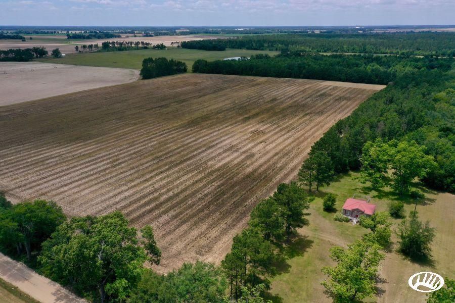 Bainbridge, Decatur County, GA Recreational Property, Timberland