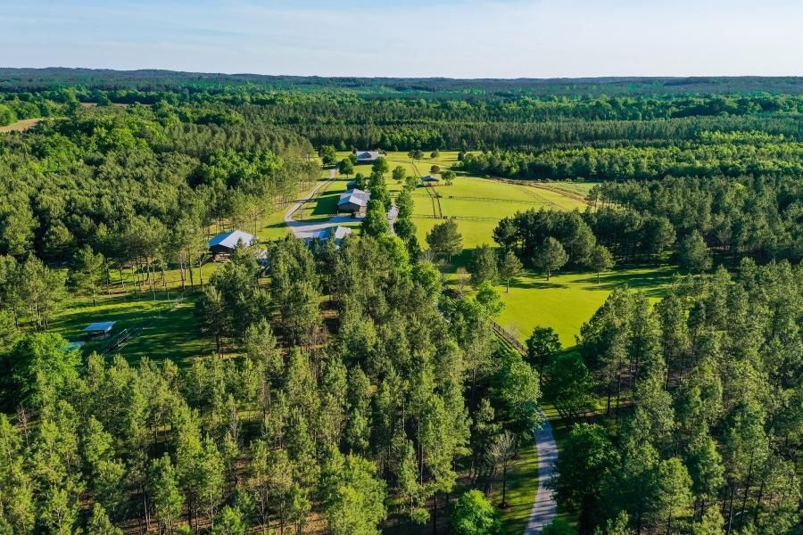 1776 Rembert Hills Road, Sweet Water, AL 36782 LandWatch