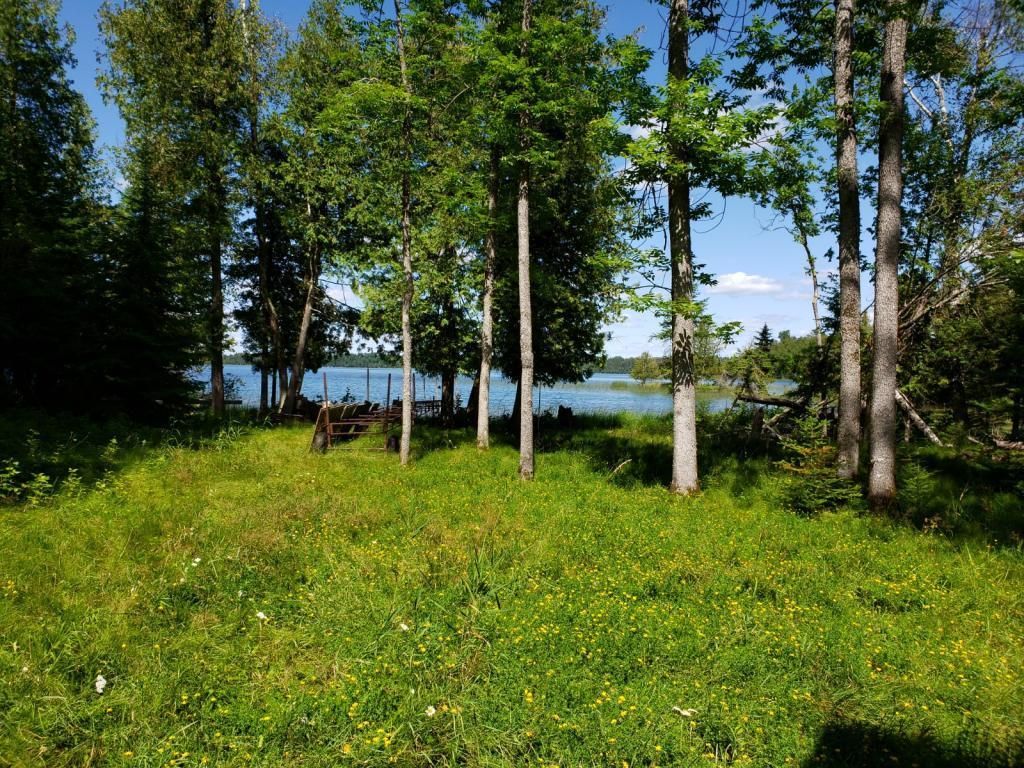 Marcell, Itasca County, MN Undeveloped Land, Lakefront Property