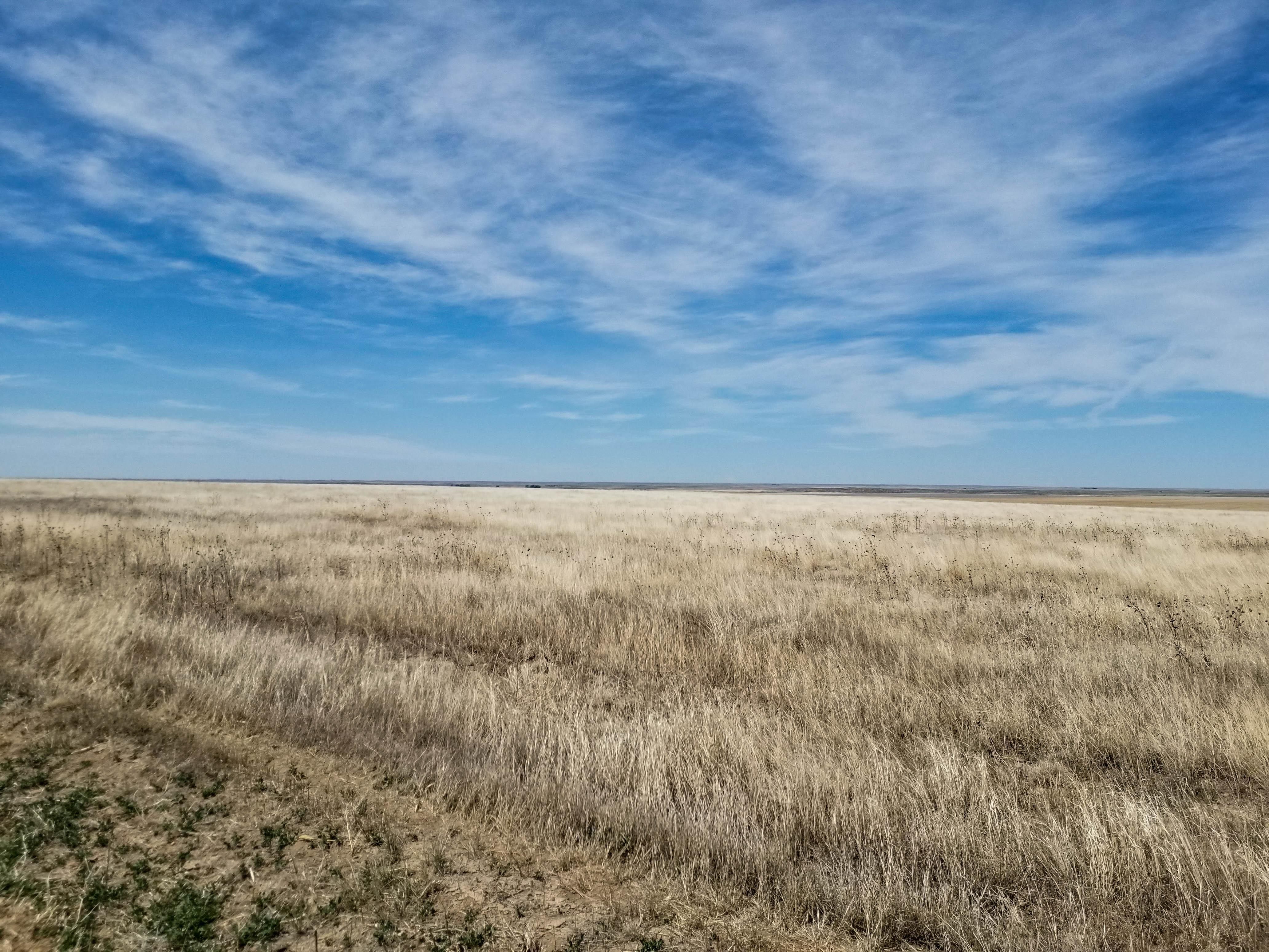Cheyenne Wells, Cheyenne County, CO Farms and Ranches for sale Property