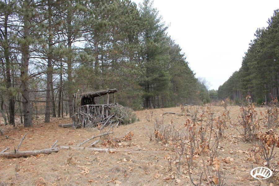Westfield, Marquette County, WI Recreational Property, Timberland