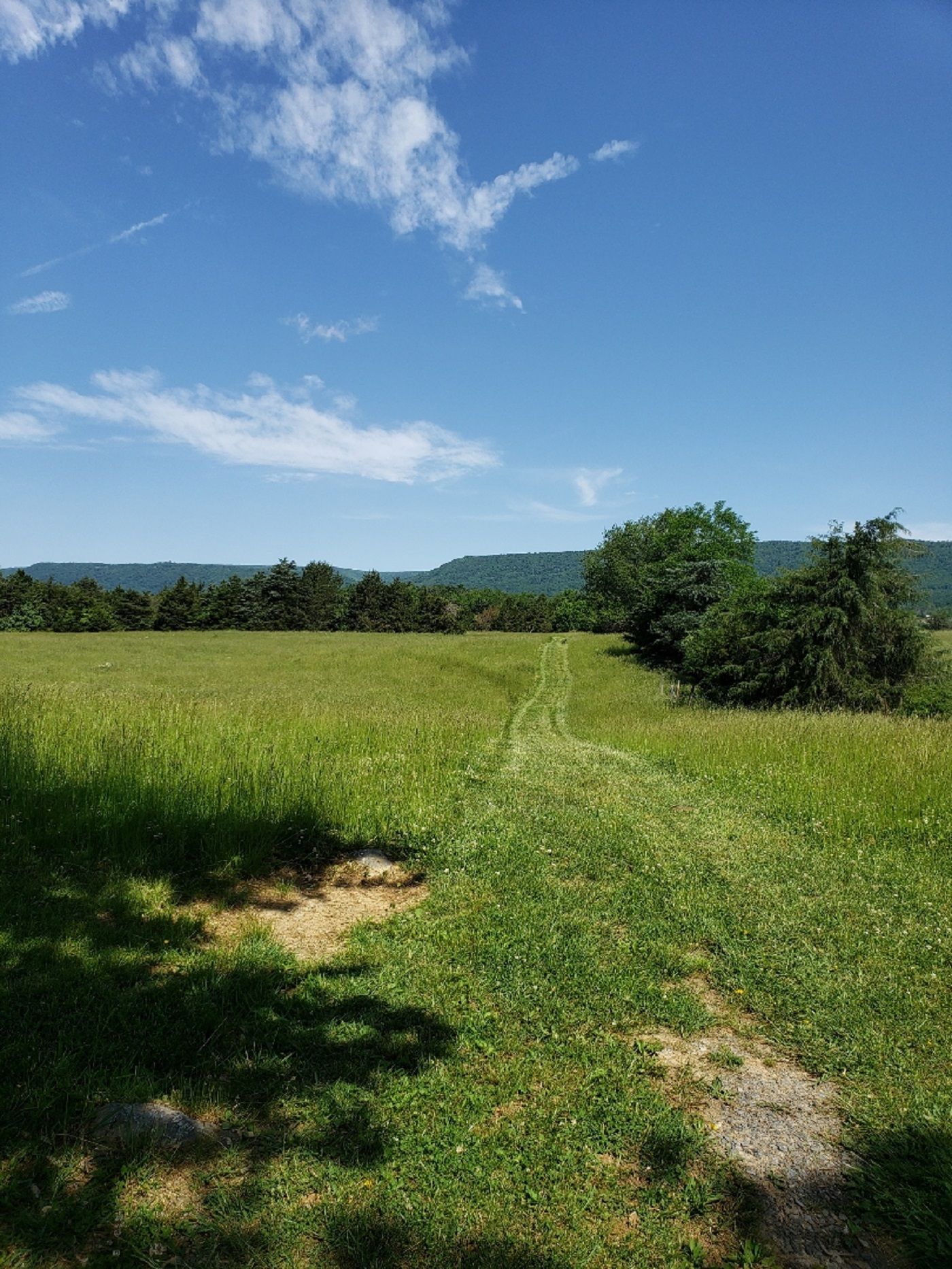 Woodstock, Shenandoah County, VA Undeveloped Land for sale Property ID