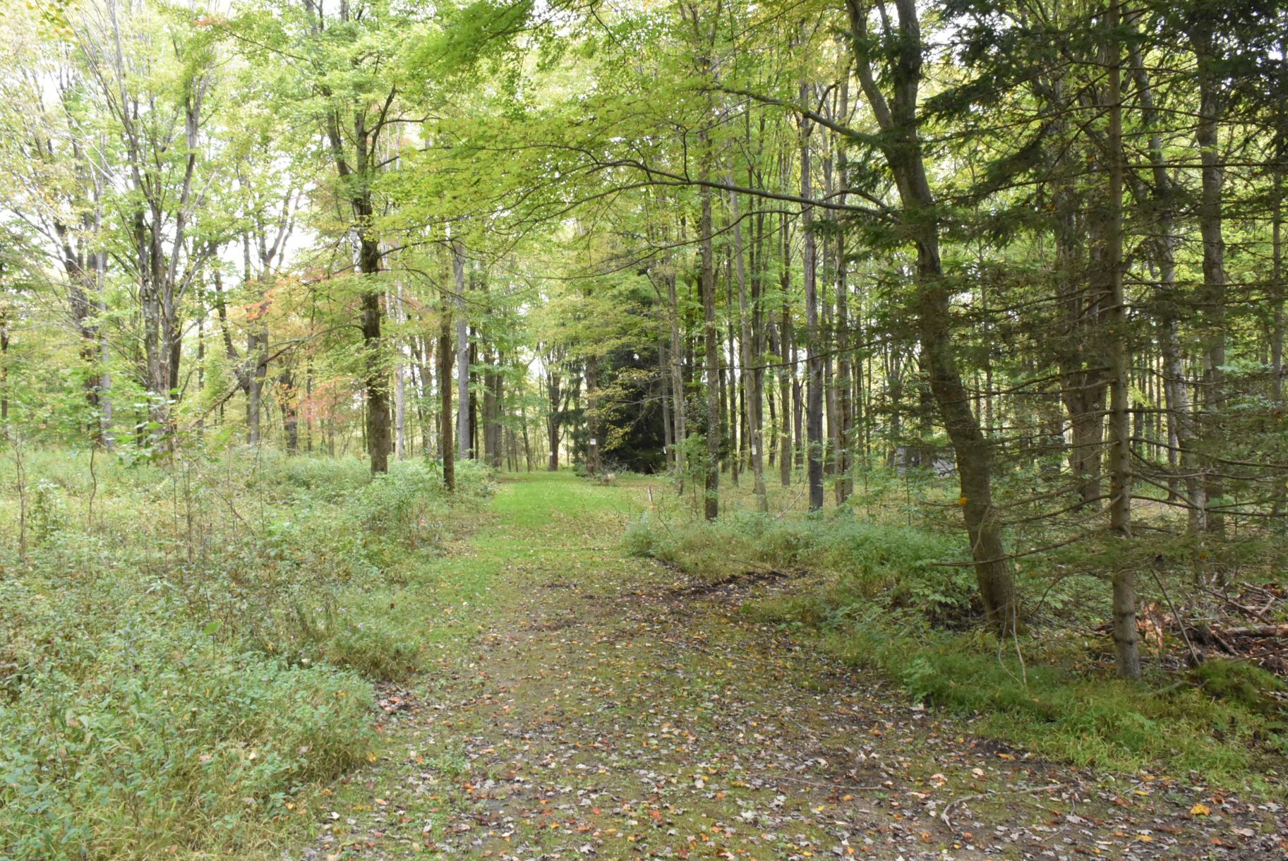 7601 Pittsburgh Drive, Linesville, PA 16424 MLS 133235 LandWatch