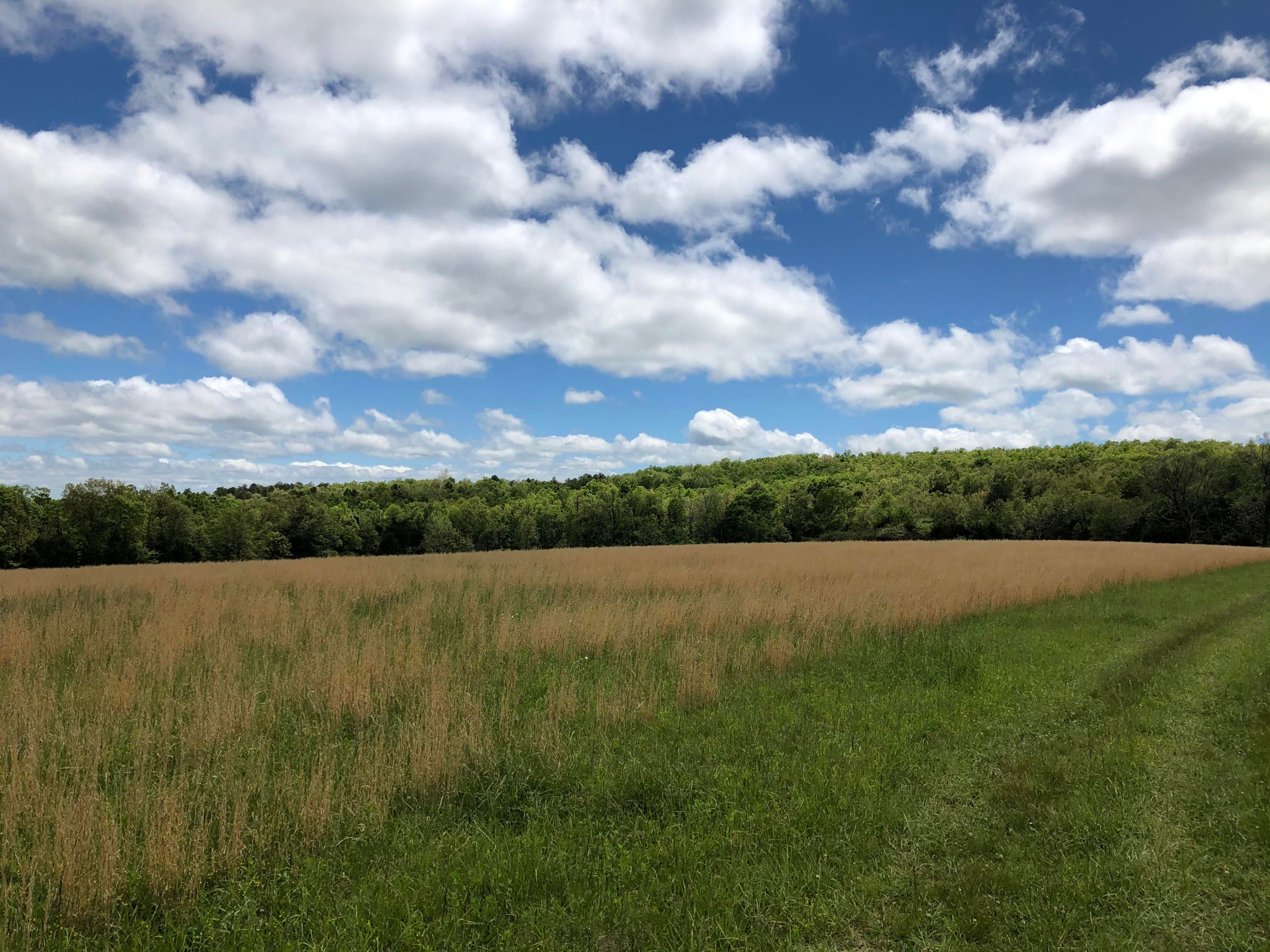 Compton, Newton County, AR Undeveloped Land for sale Property ID