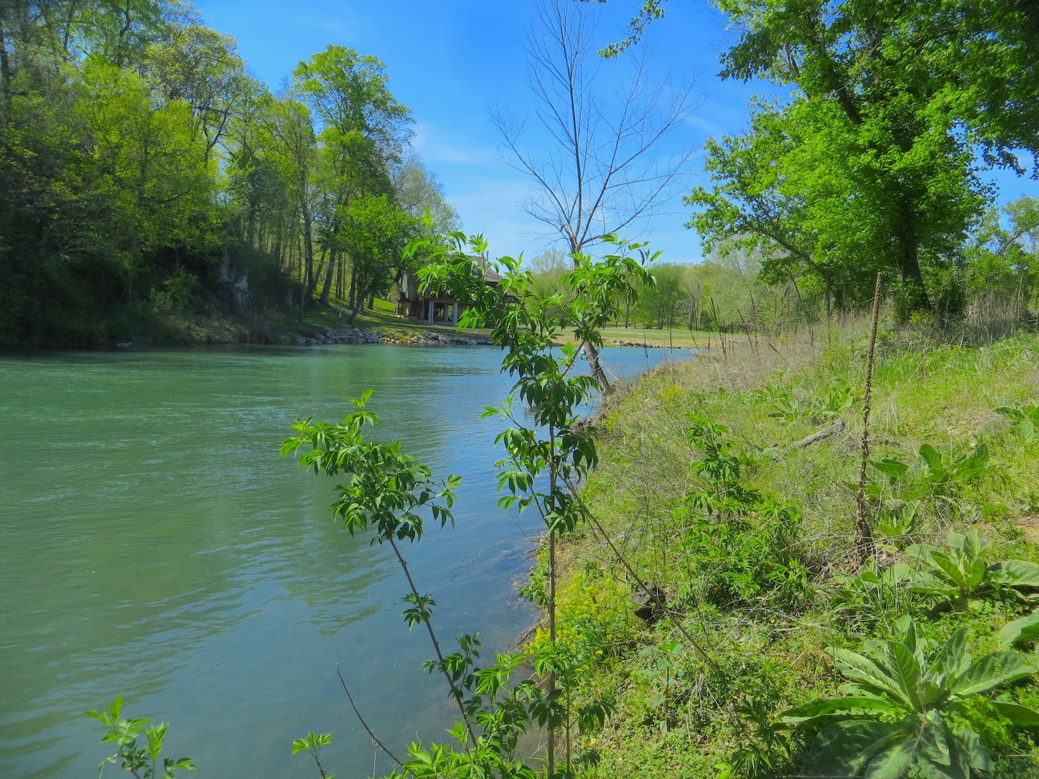 Mammoth Spring, Fulton County, AR Undeveloped Land, Lakefront Property