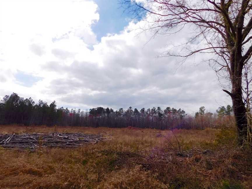 Salters, Williamsburg County, SC Undeveloped Land for sale Property ID