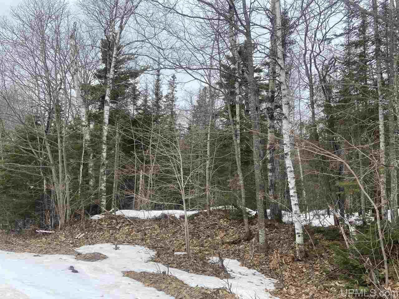 Mohawk, Keweenaw County, MI Undeveloped Land for sale Property ID