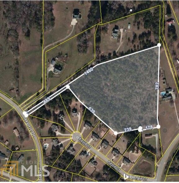 Locust Grove, Henry County, GA Undeveloped Land for sale Property ID