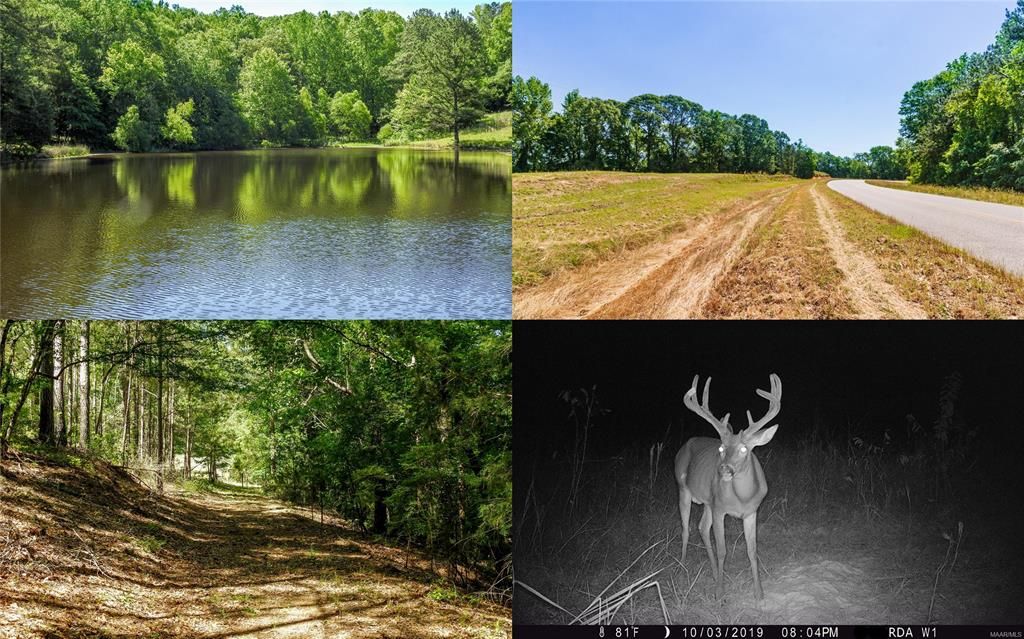 Ramer, Montgomery County, AL Undeveloped Land for sale Property ID