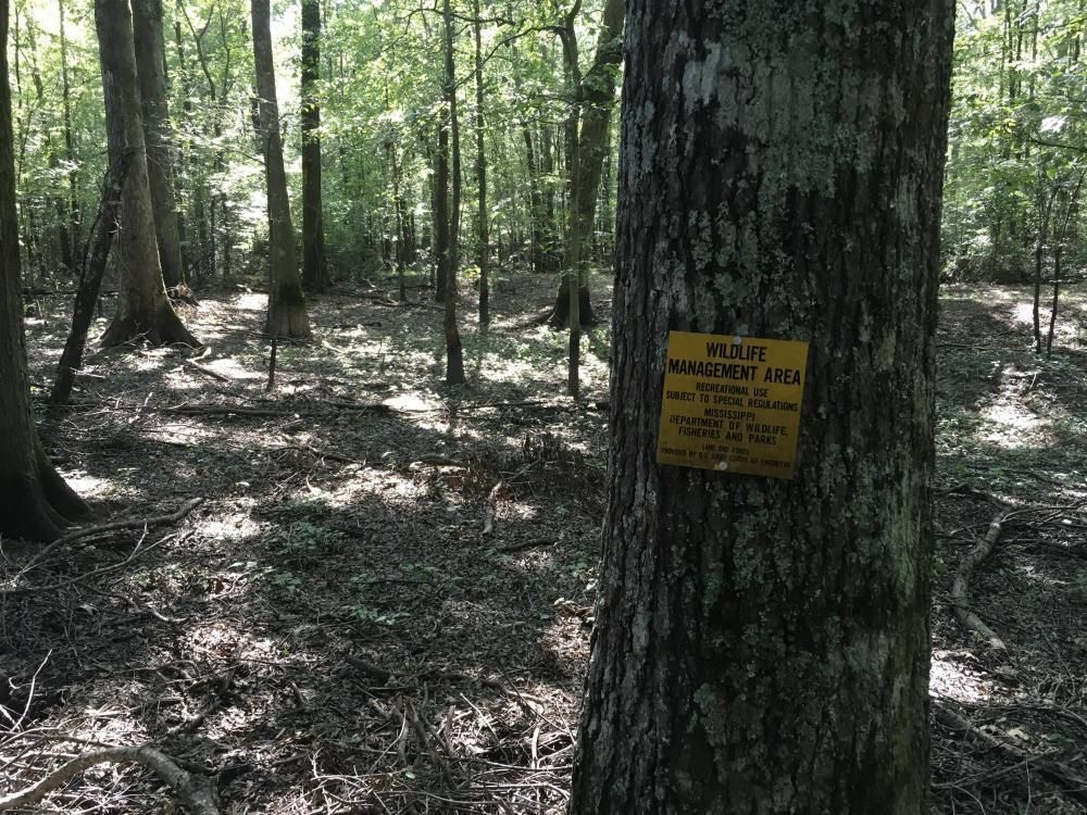 Amory, Monroe County, MS Recreational Property, Timberland Property