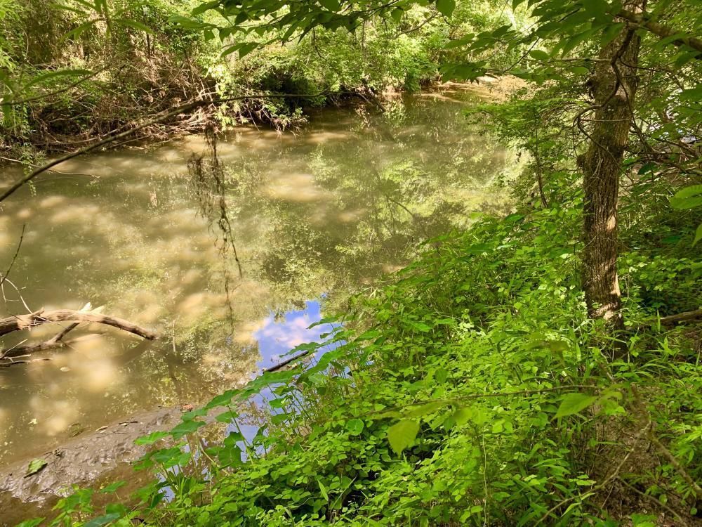 Millers Ferry, Wilcox County, AL Recreational Property, Undeveloped