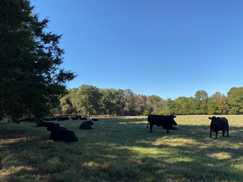 Crouse, Gaston County, NC Farms and Ranches, Recreational Property for