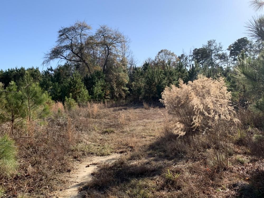 Goldsboro, Wayne County, NC Undeveloped Land, Homesites for sale