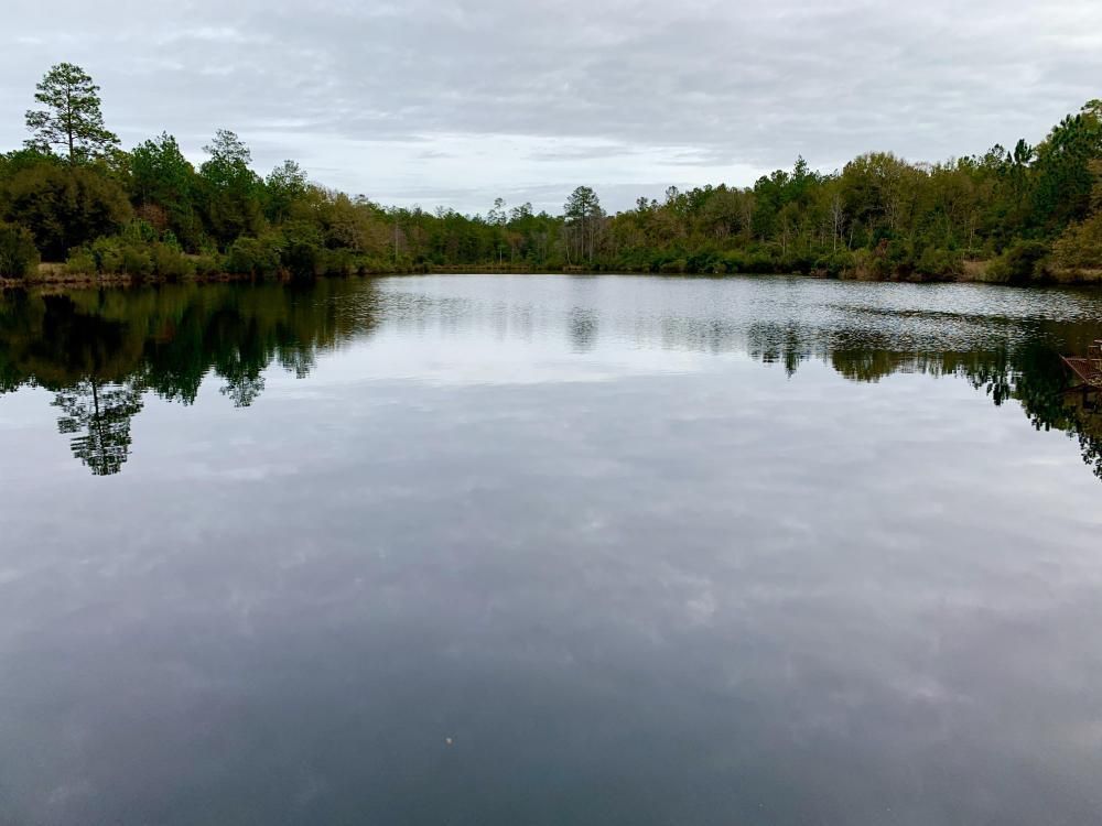 Latham, Baldwin County, AL Timberland Property, Hunting Property