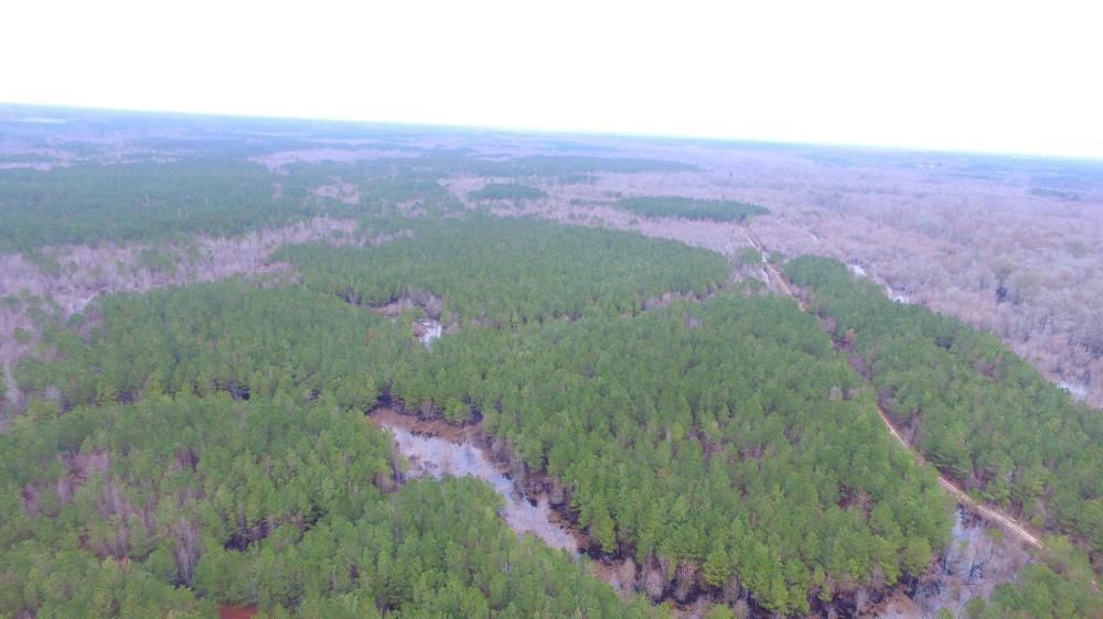 Lumberton, Robeson County, NC Recreational Property, Timberland