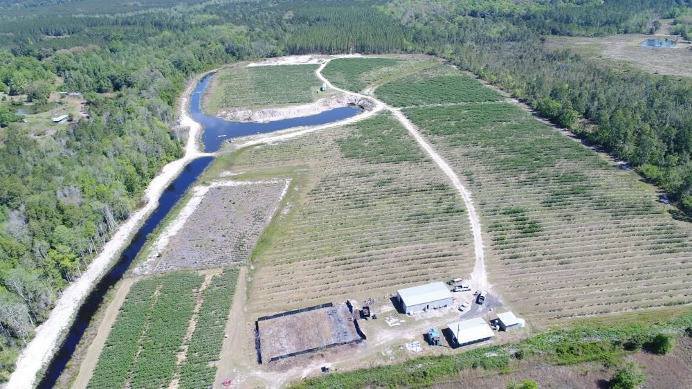 Waynesville, Brantley County, GA Farms and Ranches for sale Property ID