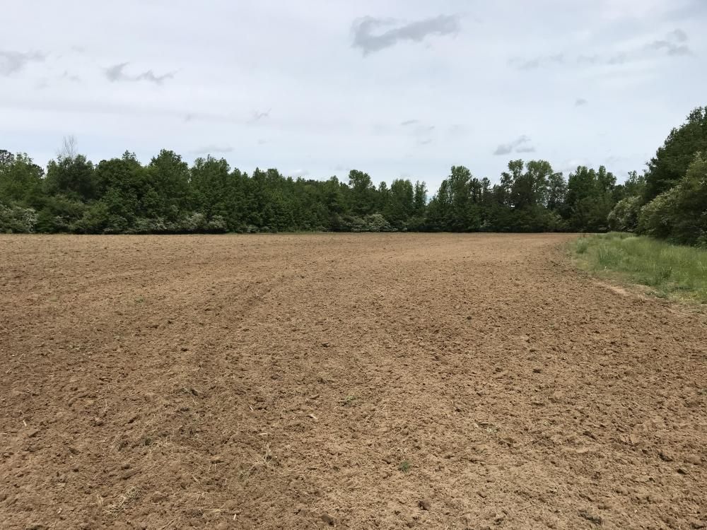 Aliceville, Pickens County, AL Farms and Ranches, Recreational Property