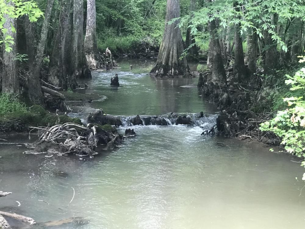 Fulton, Itawamba County, MS Recreational Property, Timberland Property