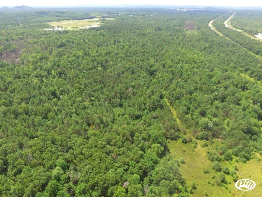 Black River Falls, Jackson County, WI Timberland Property, Hunting