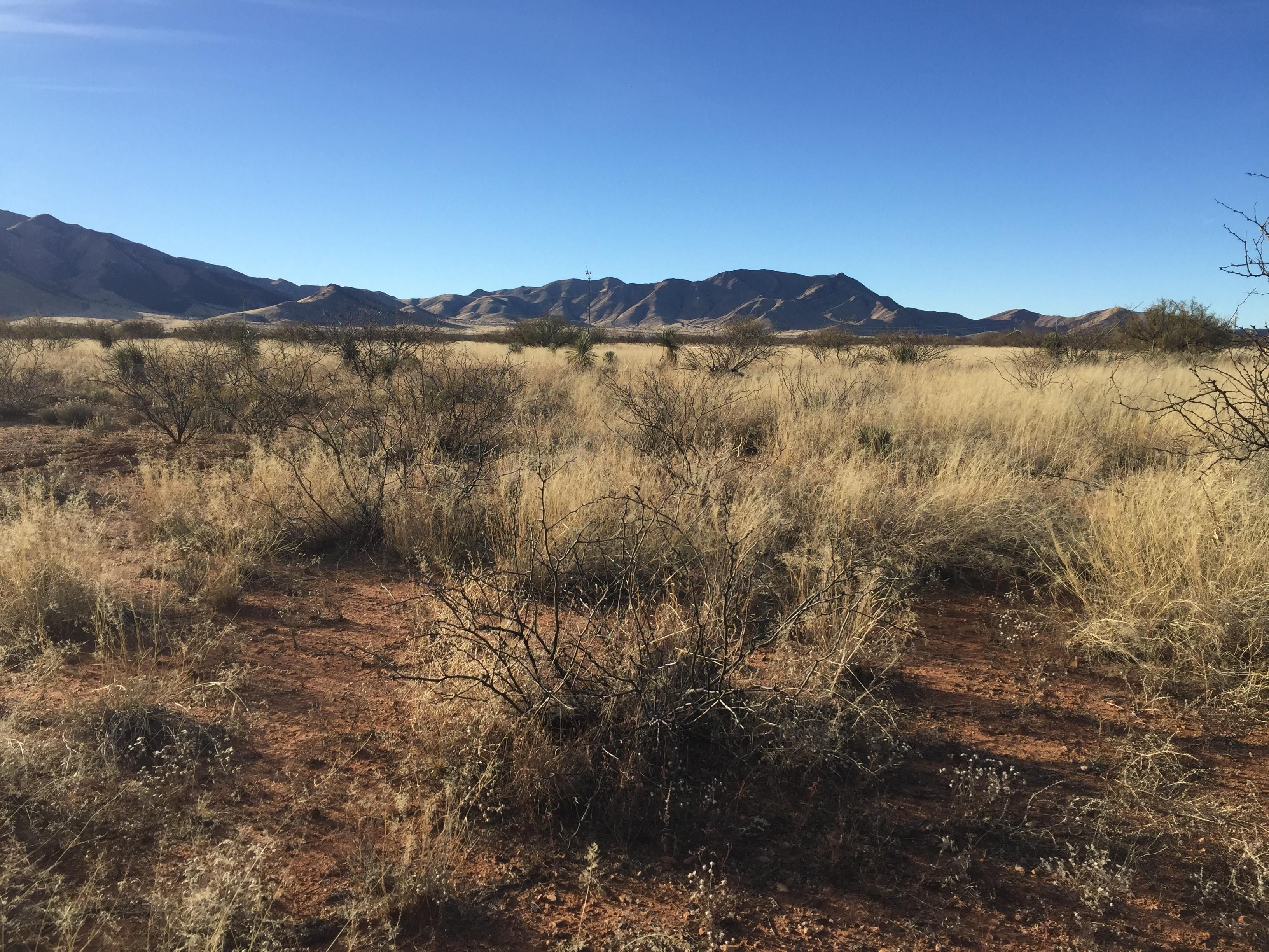 Cochise, Cochise County, AZ Recreational Property, Undeveloped Land