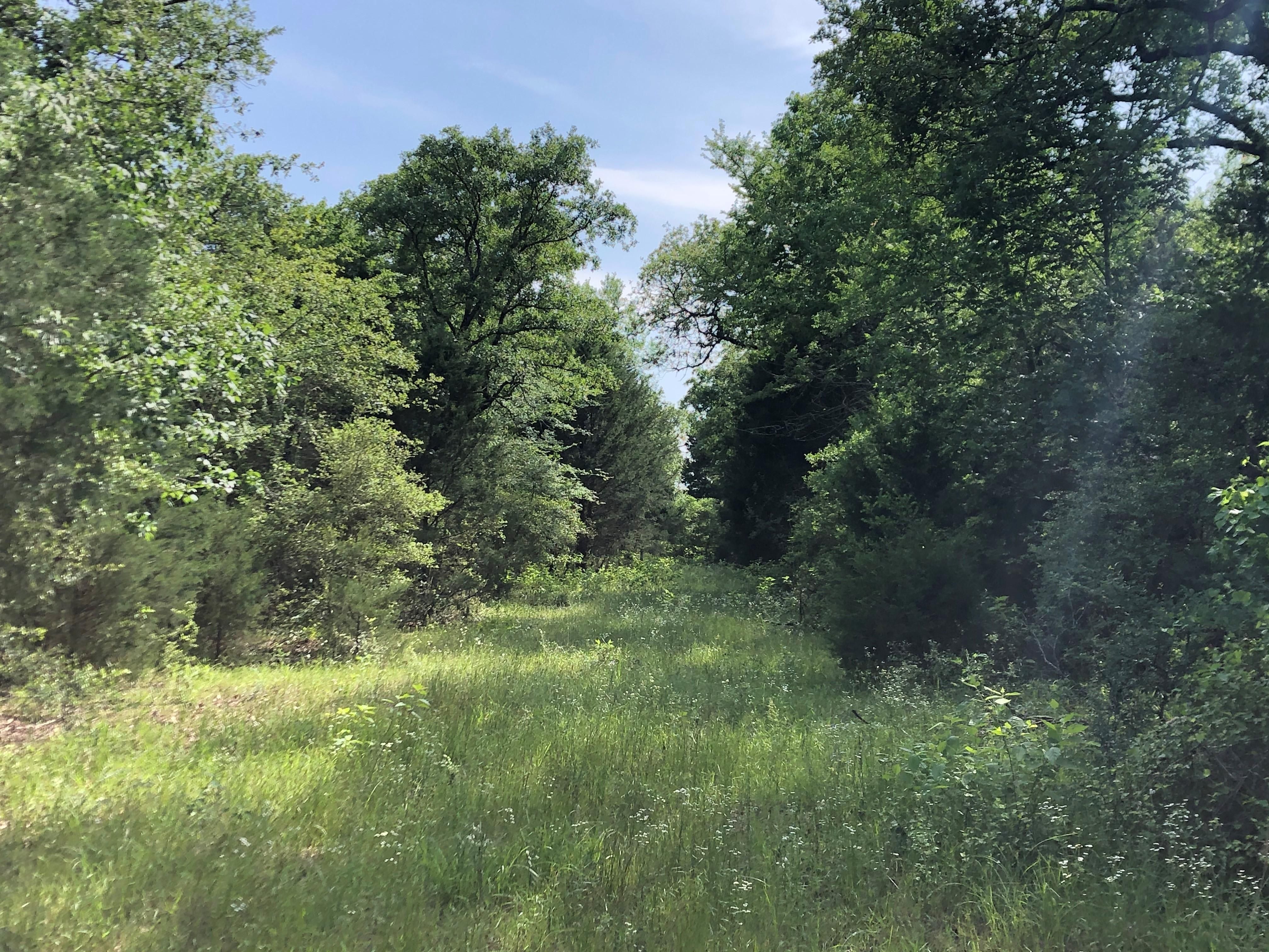 Fairfield, Freestone County, TX Farms and Ranches, Recreational