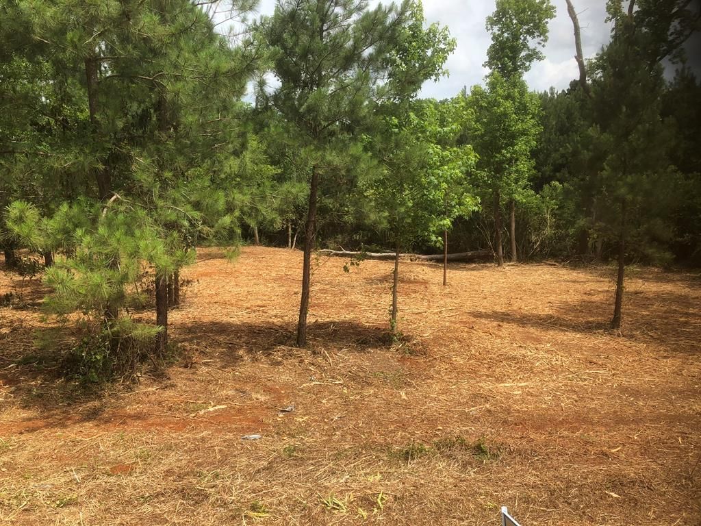 Central Heights, Nacogdoches County, TX Undeveloped Land, Homesites for