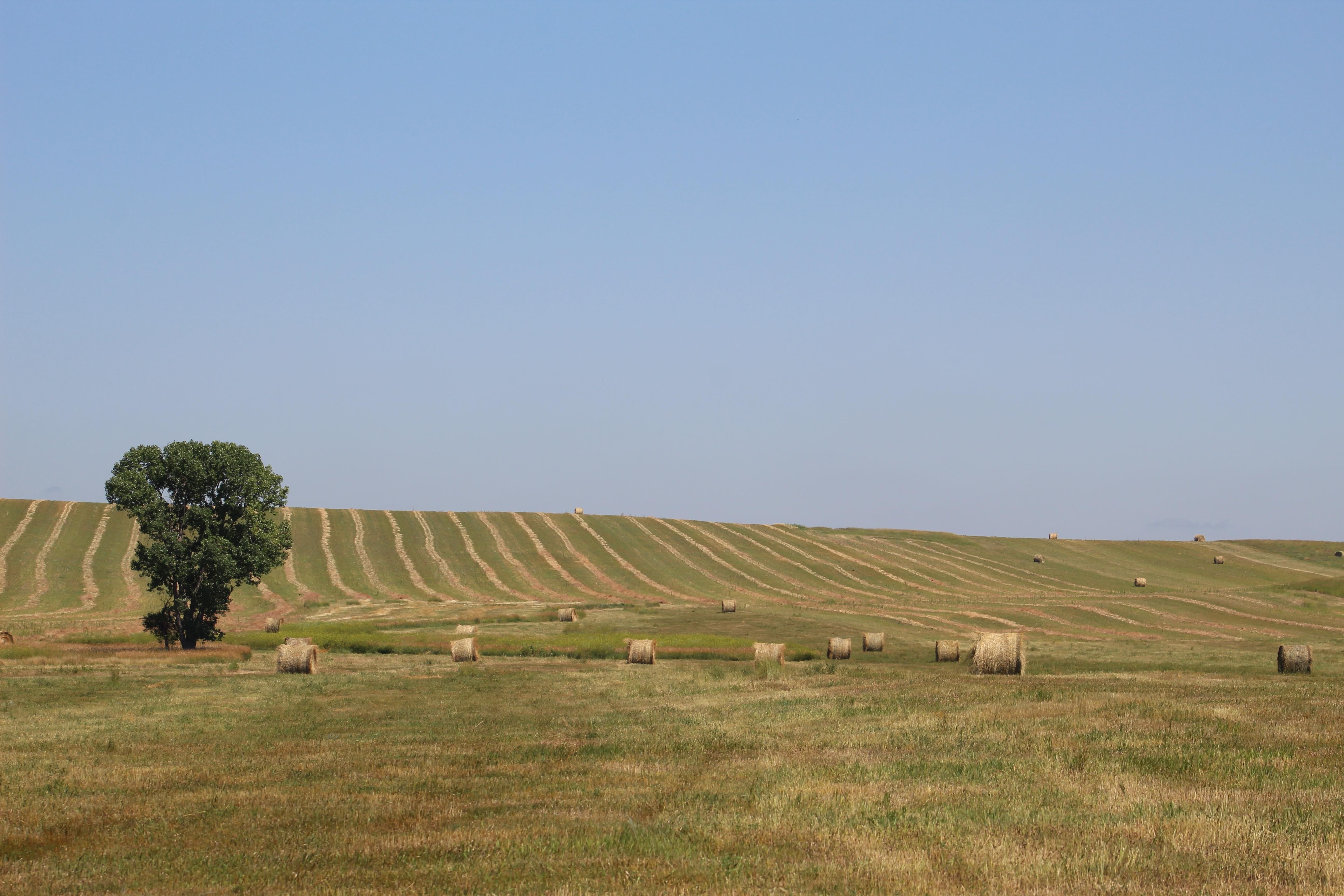 Thunder Hawk, Corson County, SD Farms and Ranches for sale Property ID