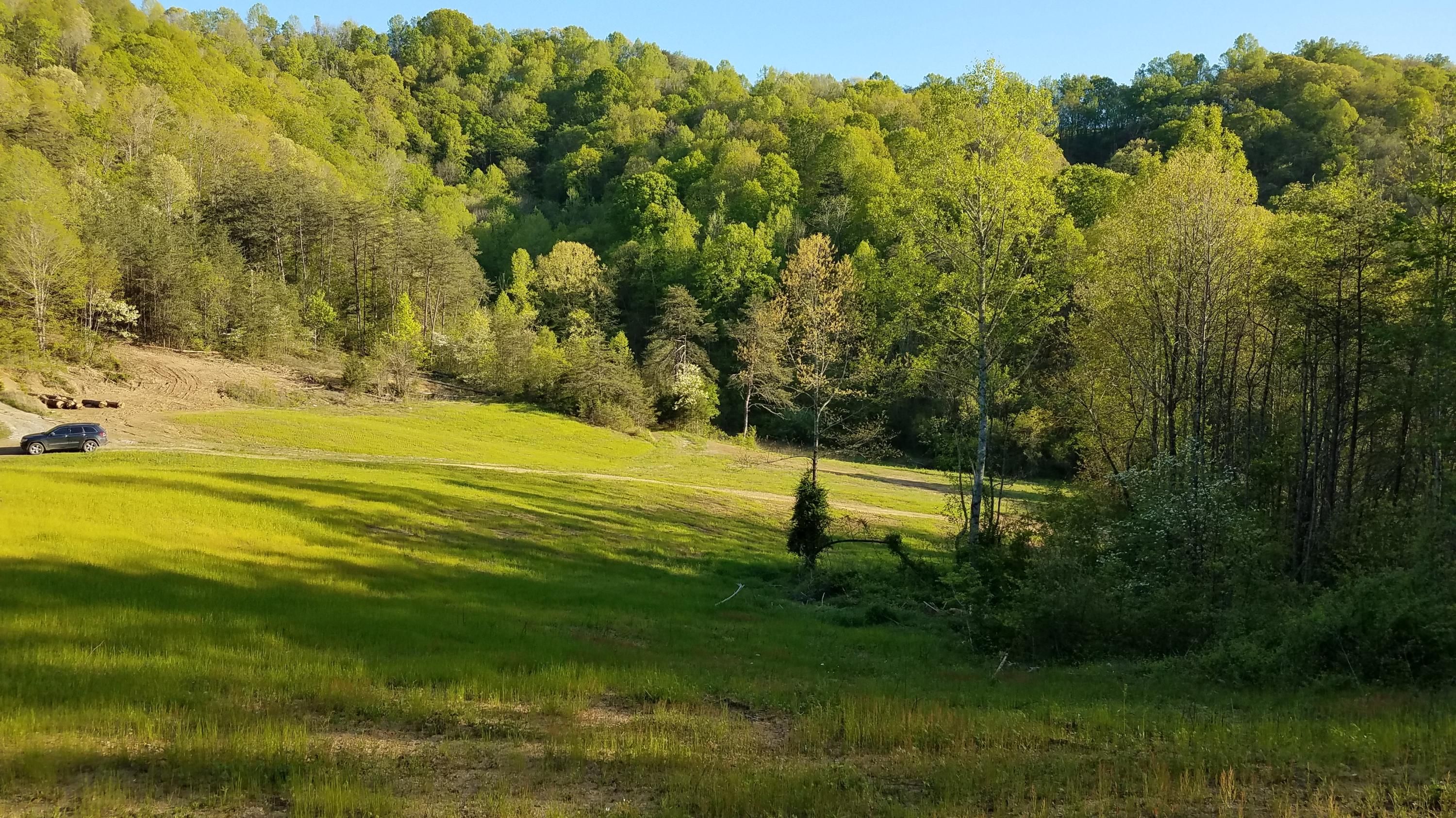 Tazewell, Claiborne County, TN Undeveloped Land for sale Property ID