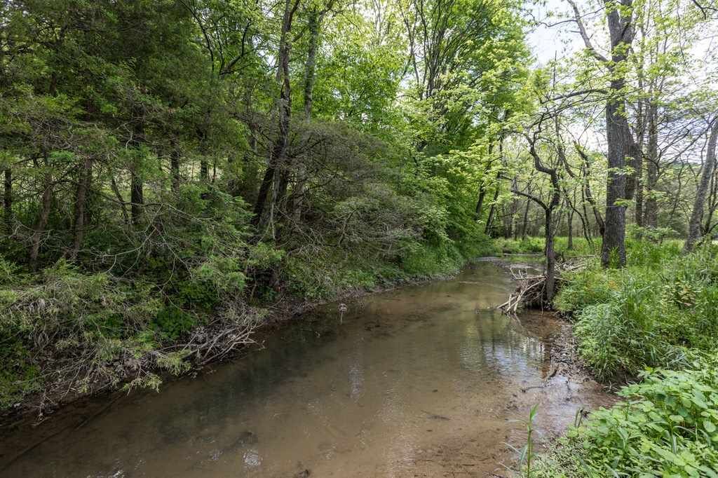 Weyers Cave, Augusta County, VA Undeveloped Land for sale Property ID
