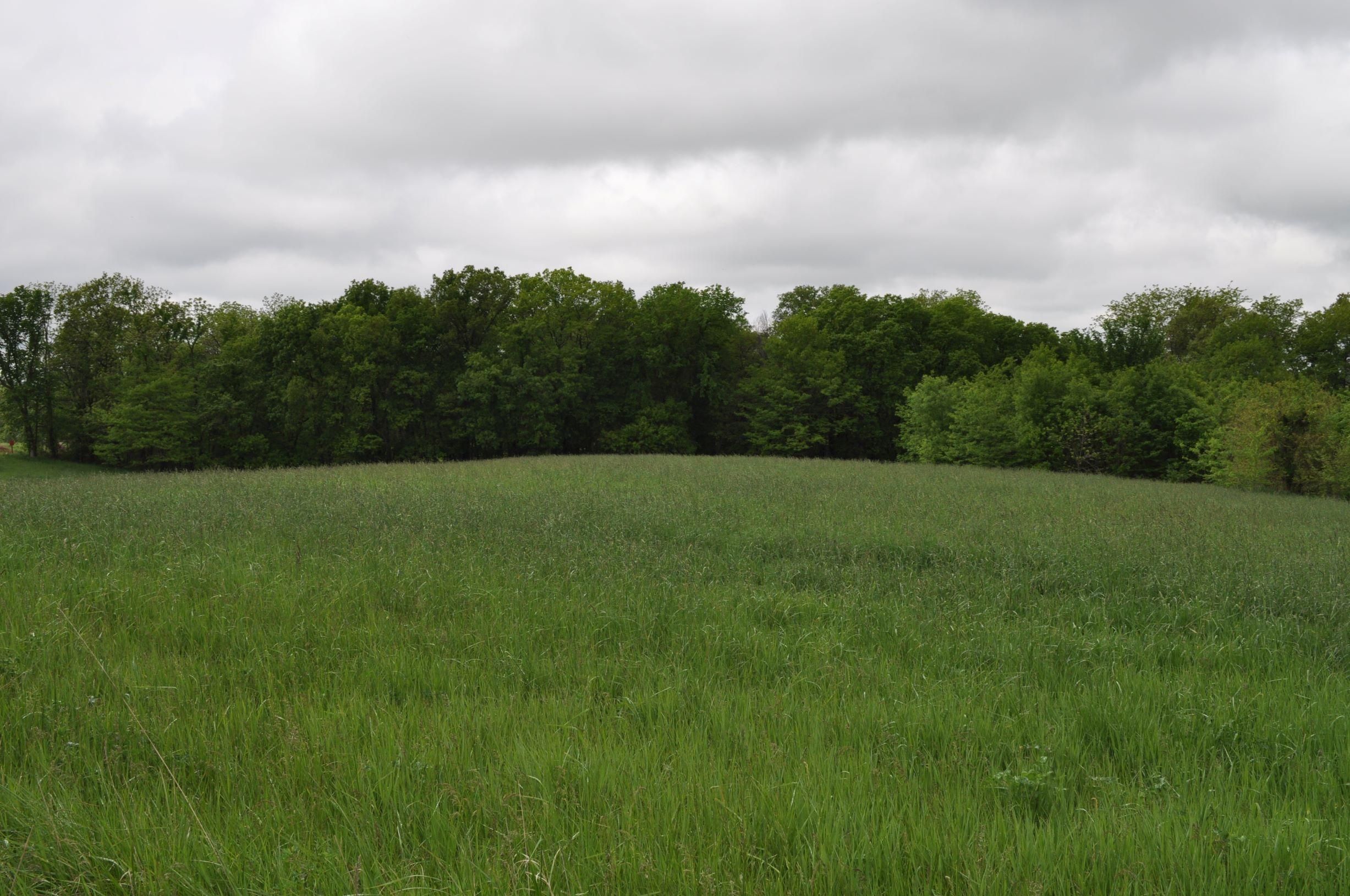 Pattonsburg, Daviess County, MO Farms and Ranches for sale Property ID