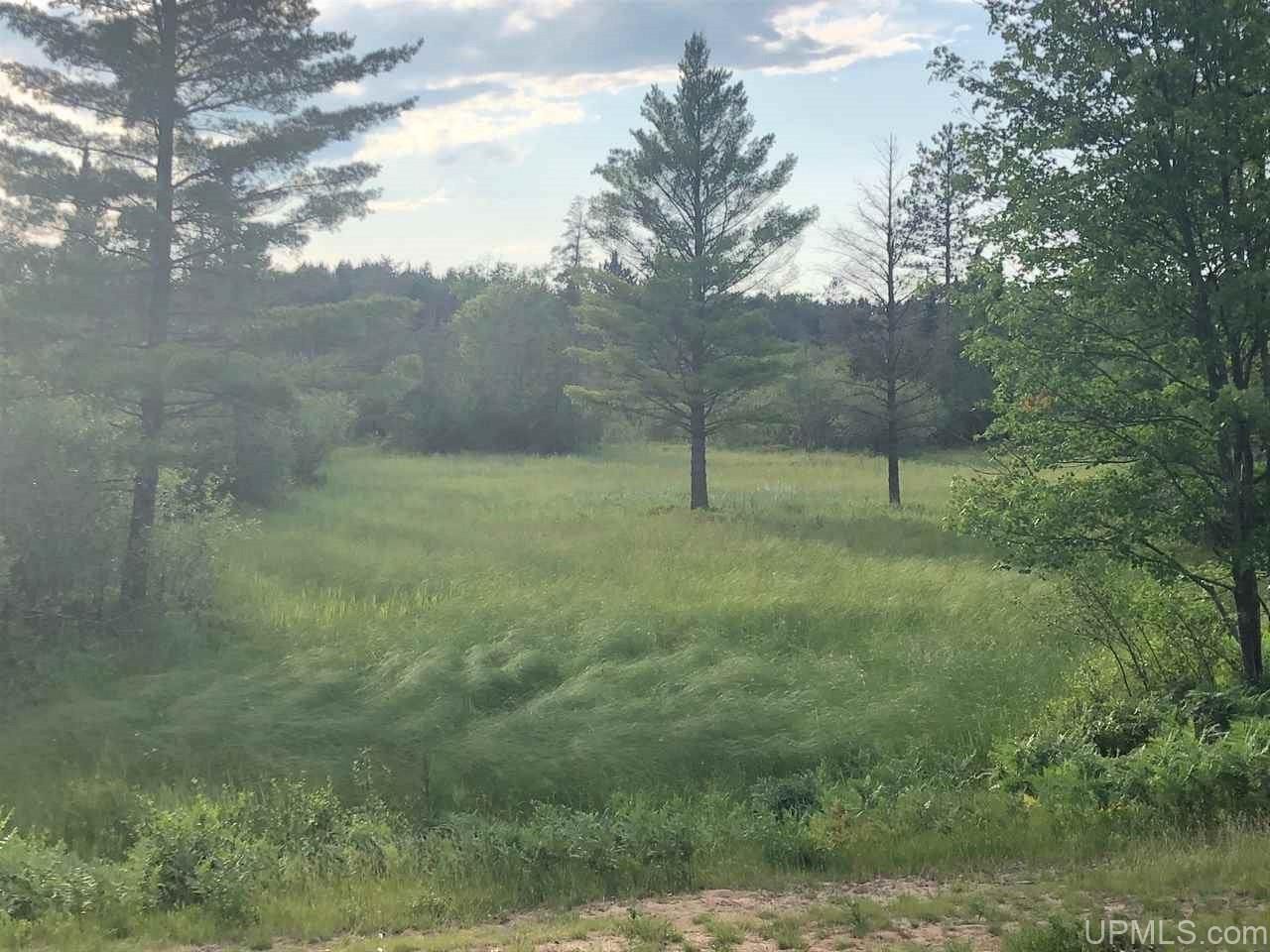 Rapid River, Delta County, MI Undeveloped Land for sale Property ID