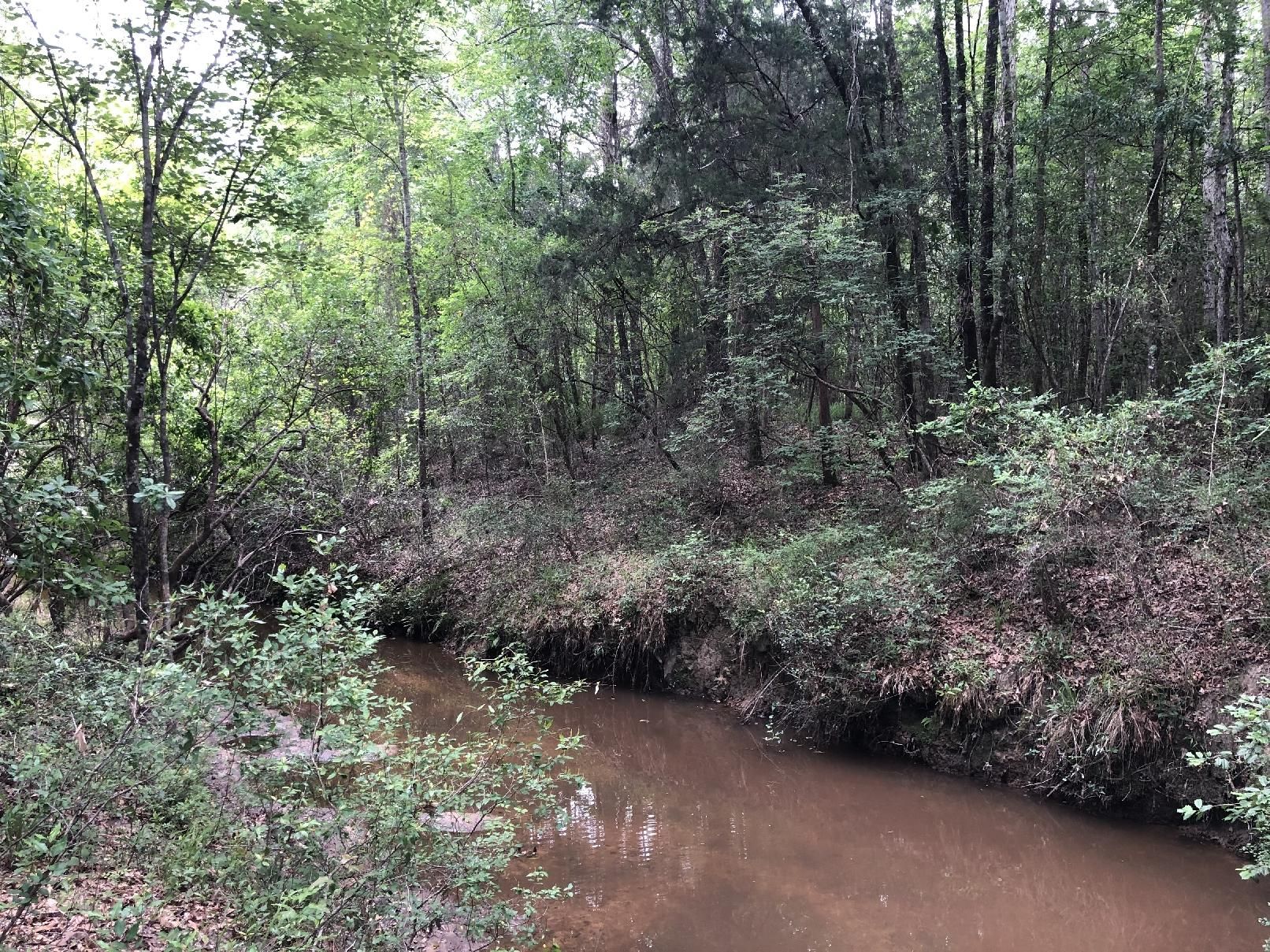 Opp, Coffee County, AL Recreational Property, Timberland Property