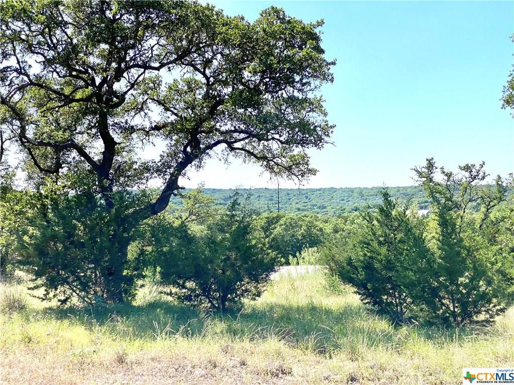 Canyon Lake, Comal County, TX Undeveloped Land, Homesites for sale