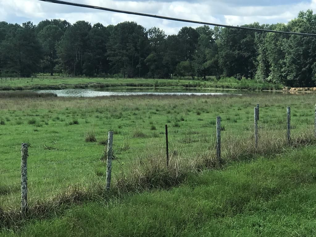 Rutledge, Crenshaw County, AL Undeveloped Land for sale Property ID