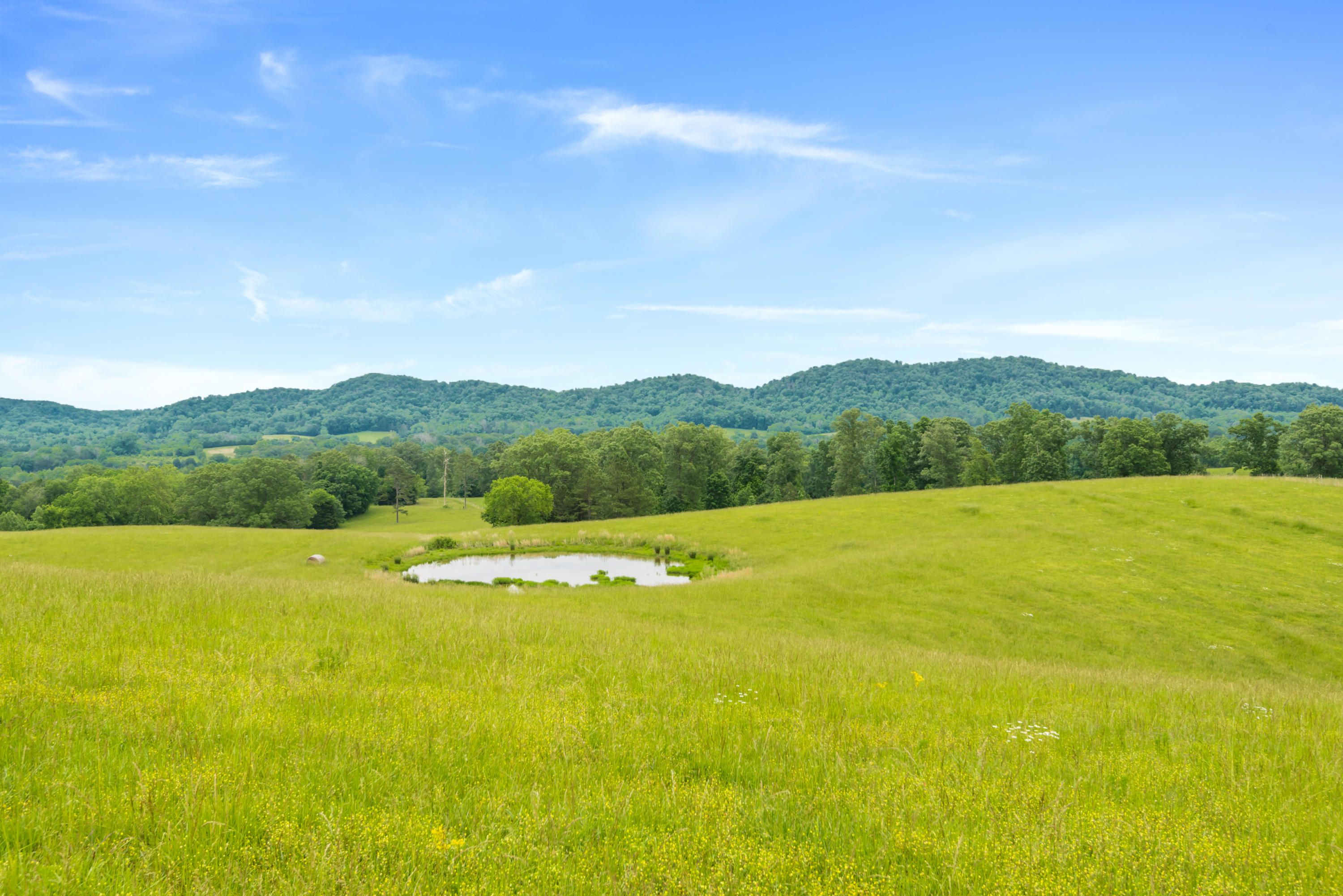 Ten Mile, Meigs County, TN Farms and Ranches for sale Property ID