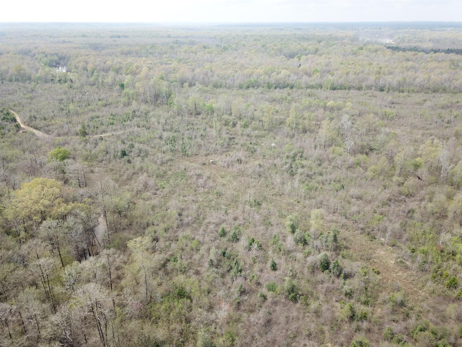 Myrtlewood, Marengo County, AL Recreational Property, Timberland